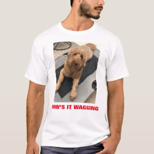 Camiseta Como está balançando