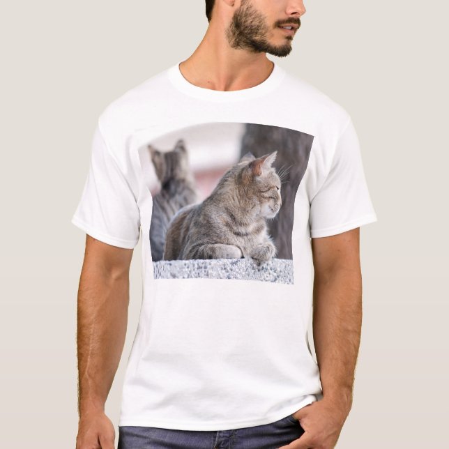 Camiseta Comprimidos em repouso (Frente)