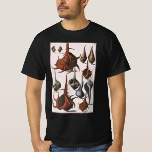 Camiseta Conchas, Conchas Antigas, Vida Marinha do Oceano