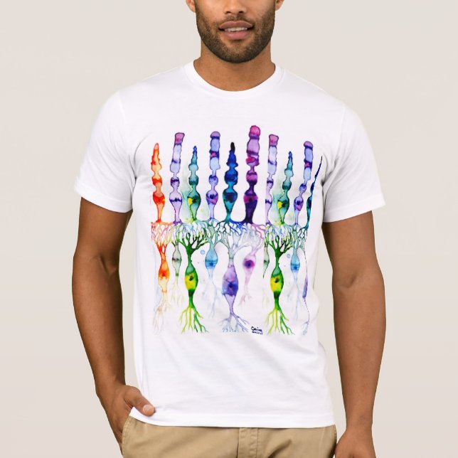 Camiseta Cone cells rod cells and bipolar neurons of retina (Frente)