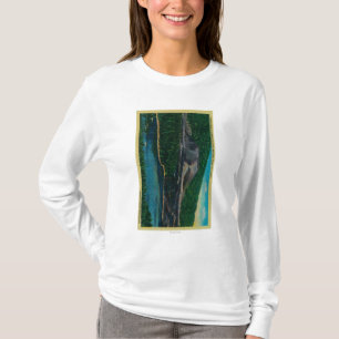 Camiseta Cone da cinza no parque nacional vulcânico de