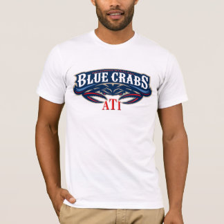 CAMISETA CONFERÊNCIA DE ATI 2010