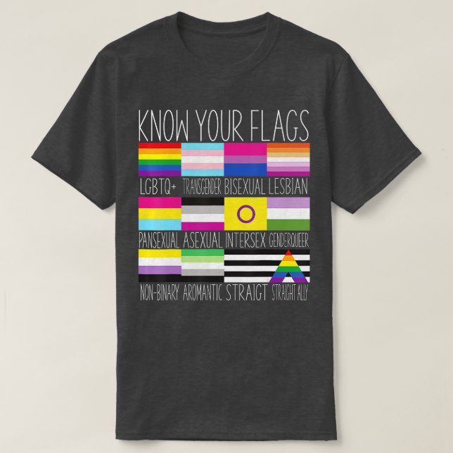 Camiseta Conheça seus sinalizadores LGBTQ+ Orgulho gay Flag (Frente do Design)
