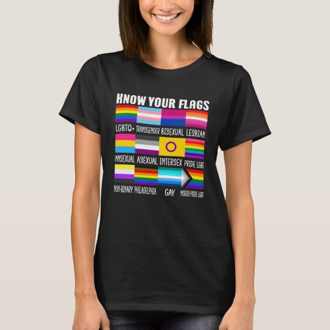 Camiseta Conheça seus sinalizadores LGBTQ+ Orgulho gay Flag (Frente)
