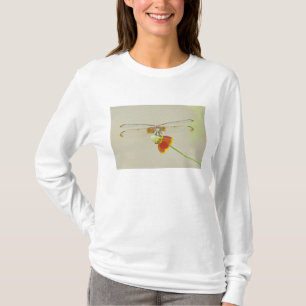 Camiseta Conjunto Xadrezado (Dythemis fugax) no Mexicano