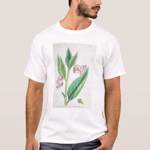 Camiseta Consolda-maior comum, placa MCXVI, c.1800