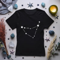 Constelação de Capricorn Zodiac