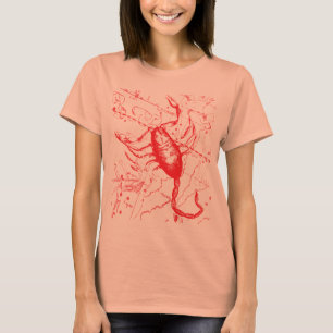 Camiseta Constelação de Scorpio Hevelius 1690 Out23 -Nov