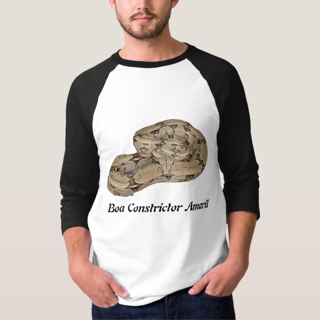 Camiseta Constrictor de boa Amaril 3/4 de Raglan da Capa (Frente)