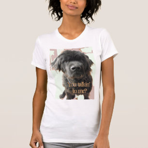 Camiseta Conversa resistente de Terra Nova