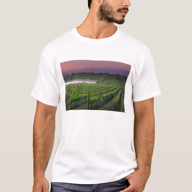 Camiseta Cor do nascer do sol na névoa distante atrás (Frente)
