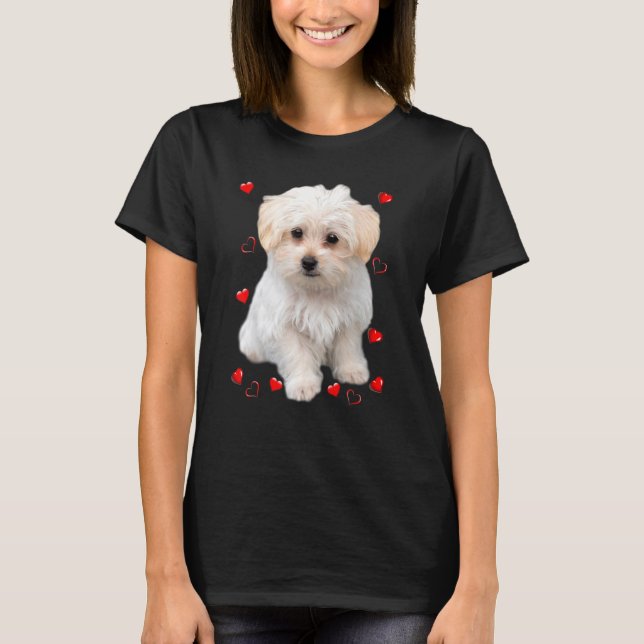Camiseta Corações de Cachorrinho Maltês (Frente)