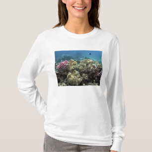 Camiseta Coral, Recife Agincourt, Grande Barreira de Coral,