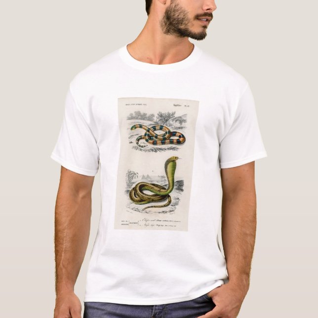 Camiseta Coral Snake Egyptian Cobra Illustration (Frente)