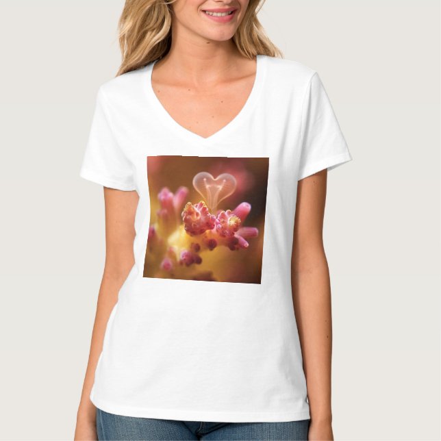 Camiseta Corales enamorados (Frente)