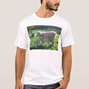 CAMISETA CORDEIRO PEQUENO