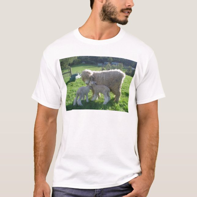 CAMISETA CORDEIRO PEQUENO (Frente)