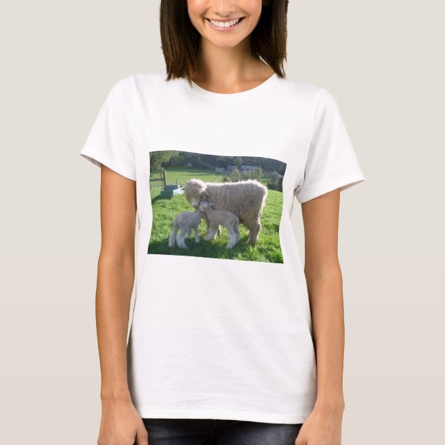 CAMISETA CORDEIRO PEQUENO (Frente)