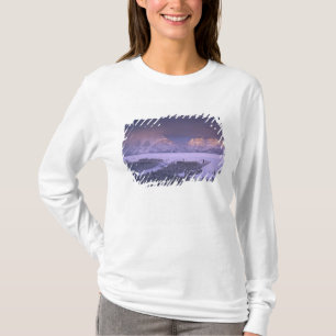 Camiseta Cordilheira Teton do Snake River Overlook, Grand