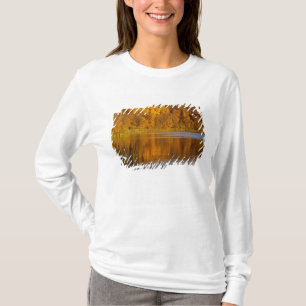 Camiseta Cores de outono no Maplewood State Park perto