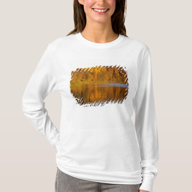 Camiseta Cores de outono no Maplewood State Park perto (Frente)