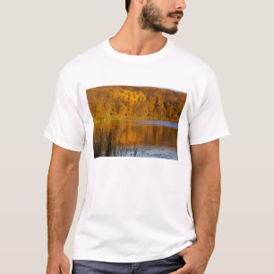 Camiseta Cores de outono no Parque Estadual Maplewood perto