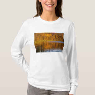 Camiseta Cores de outono no Parque Estadual Maplewood perto
