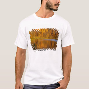 Camiseta Cores de outono no Parque Estadual Maplewood perto