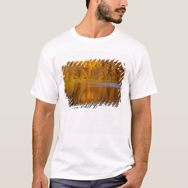 Camiseta Cores do outono em Maplewood State Park perto (Frente)