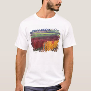Camiseta Cores intensas de vermelho e amarelo no outono em