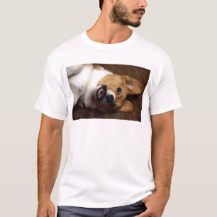 Camiseta Corgi