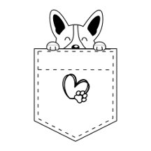 Corgi no bolso com o chapéu de Papai Noel | Presen