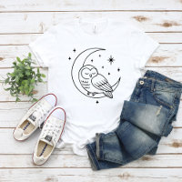 Coruja Adormecida na Linha da Lua Crescente Arte