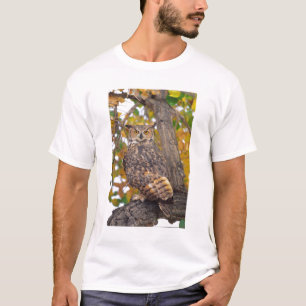 Camiseta Coruja-grande