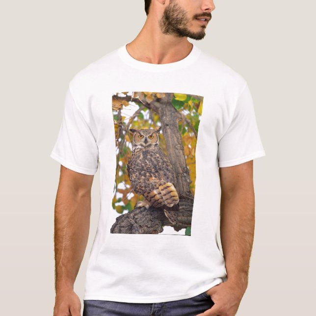 Camiseta Coruja-grande (Frente)