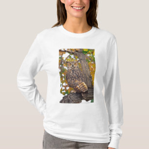 Camiseta Coruja-grande