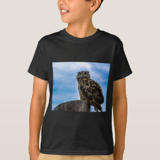 Camiseta Coruja Pássaros Natureza Animal Destino Paz Amor