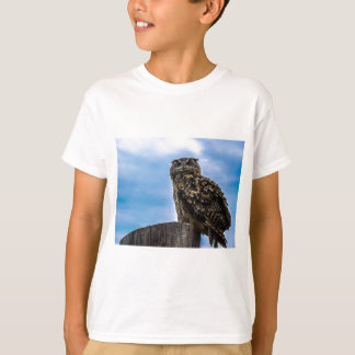 Camiseta Coruja Pássaros Natureza Animal Destino Paz Amor