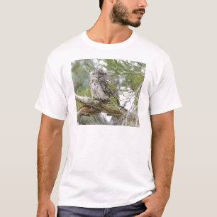 CAMISETA CORUJA TAWNY QUEENSLAND RURAL AUSTRÁLIA DE