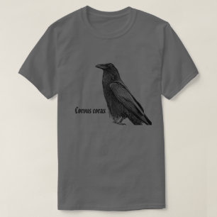 Camiseta Corvo Preto Com Nome Científico