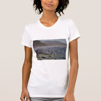 Camiseta Costa bonita de Oregon