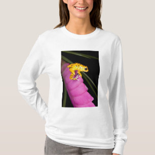 Camiseta Costa Rica. Close-up de sapo venenoso