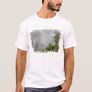 Camiseta Costa Rica, floresta nublada nas montanhas perto d