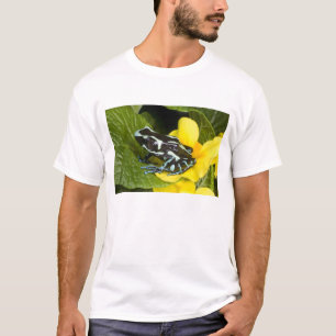 Camiseta Costa Rica, Península de Osa