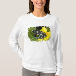 Camiseta Costa Rica, Península de Osa