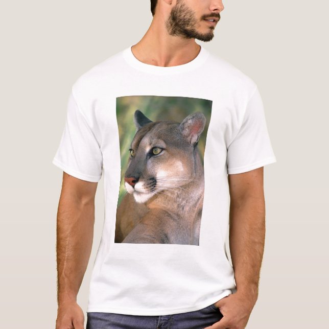 Camiseta Cougar, Califórnia (Frente)