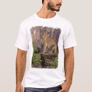 Camiseta Cougar e Pictografias