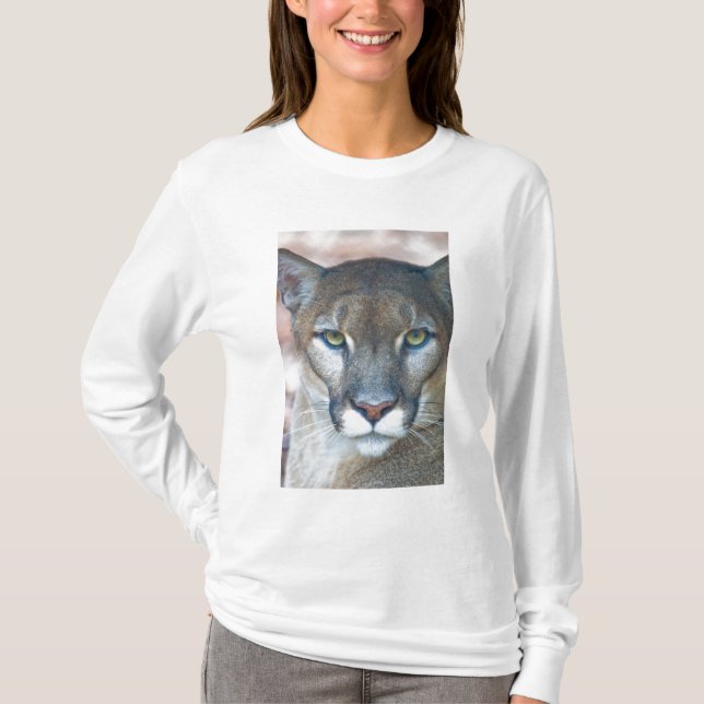 Camiseta Cougar, leão da montanha, Puma da Flórida (Frente)