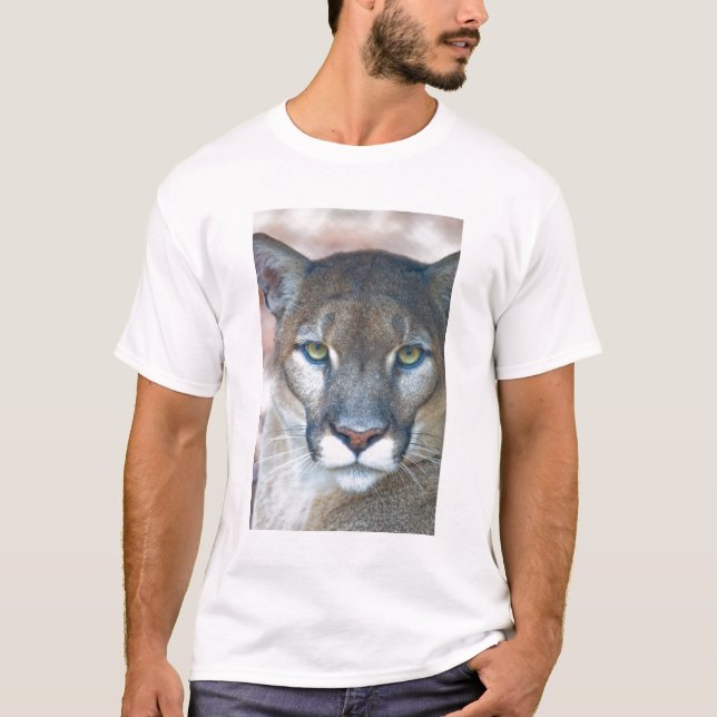 Camiseta Cougar, leão da montanha, Puma da Flórida (Frente)