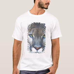Camiseta Cougar, leão da montanha, Puma da Flórida